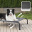 Bedsure Raised Dog Bed Medium - Elevated Waterproof Dog Bed With Mesh, 2