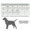 WINHYEPET True Love Dog Collar Reflective Sandwich lining Nylon Webbin 4