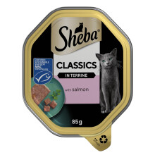 Sheba Classics Cat Tray with Salmon in Terrine 85g