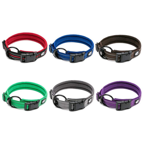 WINHYEPET True Love Dog Collar Reflective Sandwich lining Nylon Webbin 2