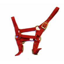 Rhinegold Nylon Foal Headcollar - Red