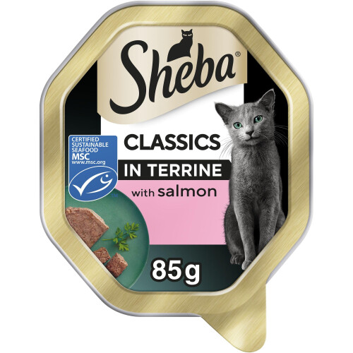 Sheba Sheba Classics Cat Tray with Salmon in Terrine 85g 1
