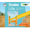ProRep Snake Life Substrate 25L | Lignocel Substrate | Dust Free | 25L 2