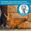 Cat Harness and Leash Set - Escape Proof Adjustable Cat Harness, Comfo 6