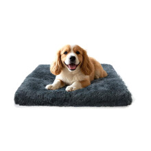 MDDK DY Small Dog Bed 50x40x5cm, Cat Bed, Washable Removable Cover wit