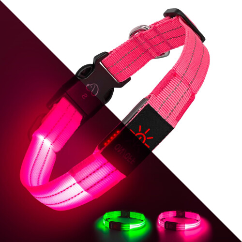 Light Up Dog Collars, LED Dog Collar Light Adjustable USB Rechargeable