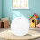 White Silent Exercise Ball Plastic Spinner Hamster Running for Sugar G 2
