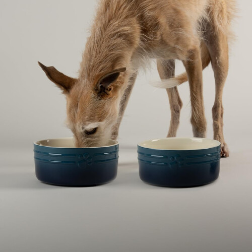 Scruffs Scruffs Ombre 2pc Ceramic Dog Bowl Set - Blue 19cm