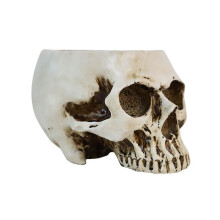 Blumentopf Aus Kunstharz, Menschlicher Totenkopf, Modell, Totenkopf, Pflanztopf, Attraktiv, Multifunktional, für Zuhause, B