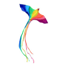 Kids Outdoor Kite Large Colorful Phoenix Design for Beach and Park, Easy Flying, B Type B