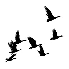 Silicone Stamps for Card Making, Clear Flying Birds Stencils for Scrapbooking and DIY Crafts