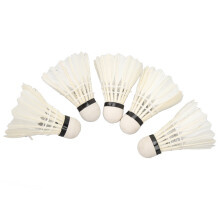 5 pièces de volants de badminton LED, oiseaux lumineux, piles de 30 mAh