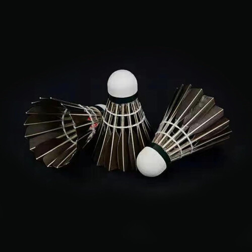 Professional Shuttlecocks Duck Feather Badminton Shuttlecocks 12 Pack Durable Stable Balanced 2