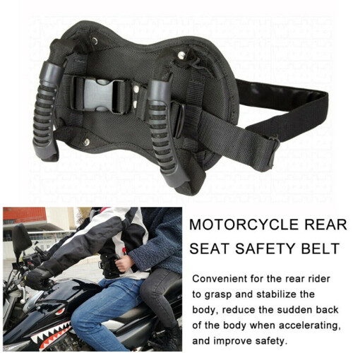 Motorcycle Back Seat Safety Armrest, Passenger Gri 2