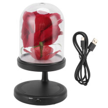 Echte Rosen, die jahrelang halten – Frische, konservierte Rosen – Ewige Rose – Blumengeschenk für die Ewigkeit – Einzigartiges