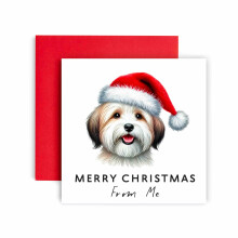 Huxters Christmas Card - From the Dog: Havanese Pu