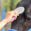 Mane Pulling Comb for Horses Professional Mane and Tail Brush with Humanized Handle Horse Grooming Brushes Mane Brush 4