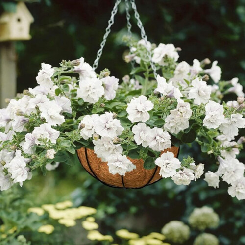 16 Tums Hängande Korgfoder, Rund Planteringsfoder för Hängande , Kokosnötsfiberfoder för Hängande Korgar Plantblomma 2