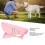 Waterproof Windproof Dog Raincoat with Reflective Strip & Open Back Design (Medium) 7