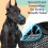 Muzzle for Dog Breathable Mesh Soft Adjustable AntiBark Muzzle for Training and Safety Licking Prevention 3
