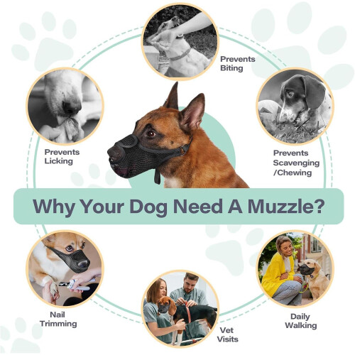 Muzzle for Dog Breathable Mesh Soft Adjustable AntiBark Muzzle for Training and Safety Licking Prevention 1