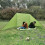 Compact Wind Blocker Type C Green With Support Rods For Camping Kitchen Setup 3