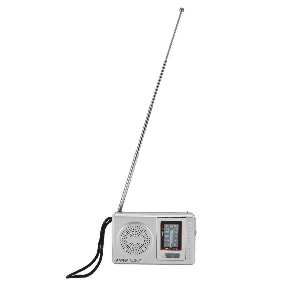 Am Fm Transistor Radio With Dsp Chip And Headphone Jack Battery Powered 4241375190255
