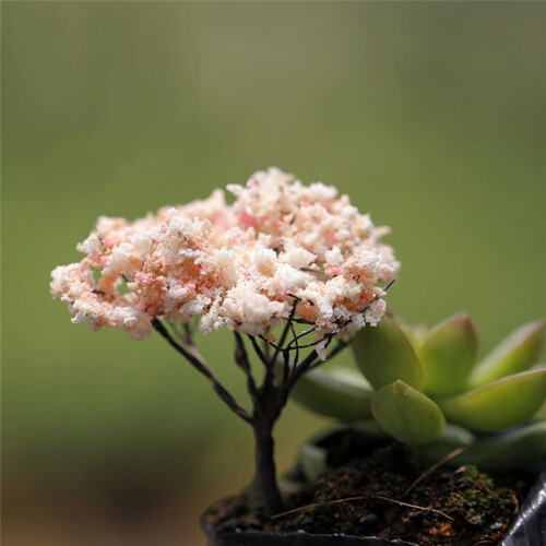Micro-Landscape Artificial Trees Succulent Decorations Moss Landscaping Decorations Accessories and Small Ornaments 1