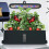 Hydroponics Growing System Full-Spectrum LED Plant 9