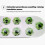 Hydroponics Growing System Full-Spectrum LED Plant 3