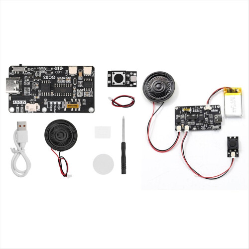 Recordable Sound Module with MP3 Download TYPE-C f