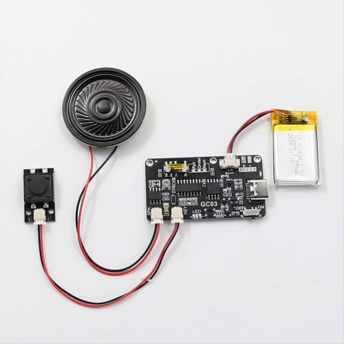 Recordable Sound Module with MP3 Download TYPE-C f 2