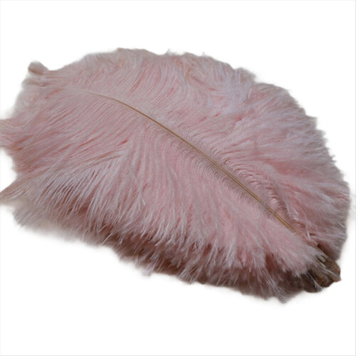 20-25cm Ostrich Feathers Stage Performances Handma