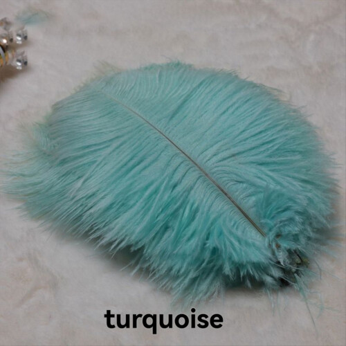 20-25cm Ostrich Feathers Stage Performances Handma 1