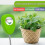 Soil Moisture Meter for Plants Portable Plant With 4