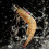 10PCS Live Shrimp Hook Set,Freshwater/Saltwater Fi 6
