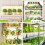 4pack LED Grow Panel Light Ultra-Thin Full Spectru 4