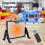 Brooder Plate for Chicks, Adjustable Height & Angl 5