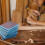 18PCS 60-200 Grit Sanding Sponge Block Set Wet Dry 3
