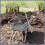 Manure Fork Replacement Head, Pitchfork Horse Rake 4