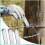 Fence Tools Ranch T-Shaped Pimple Pile Climbing Po 7
