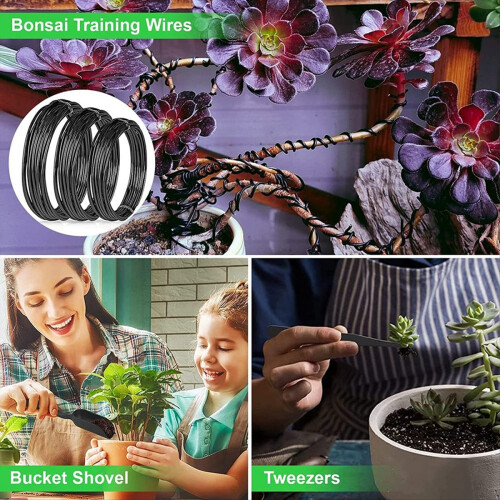 24-Piece Bonsai Tool Kit, Shape Maintenance, Garde 1