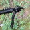 Weed Puller Effortlessly Remove Weeds Without Bend 8