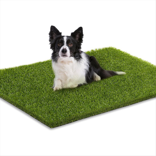 Artificial Grass, Professional Turf Grass Outdoor 2