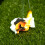 Artificial Grass, Professional Turf Grass Outdoor 10