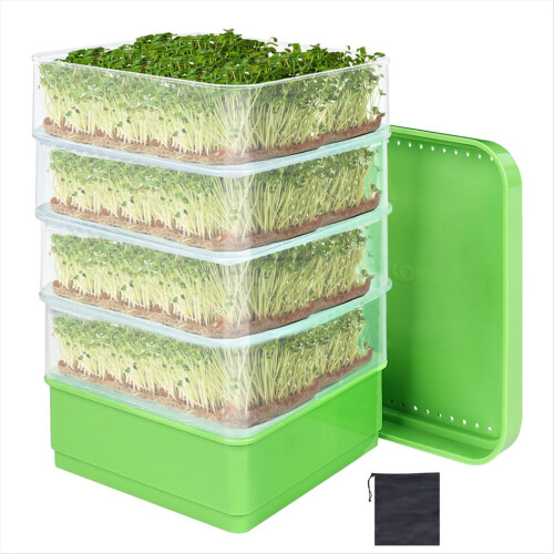 Bean Seed Germination Kit, Micro-Green Plant Growi