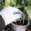 Solar Timed Automatic Watering Device, Smart Garde 11