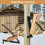 Kindling Splitter for Wood, Wall Mounted Log Manua 1
