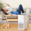 Small Dehumidifier Home Air Dyer Large Indoor Mois 3