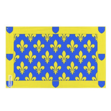 Bandeira Ardèche versão 1 – 120 x 180 cm – Poliéster Resistente – 2 Ilhós de Metal – Uso Interno / Externo – Pixelforma
